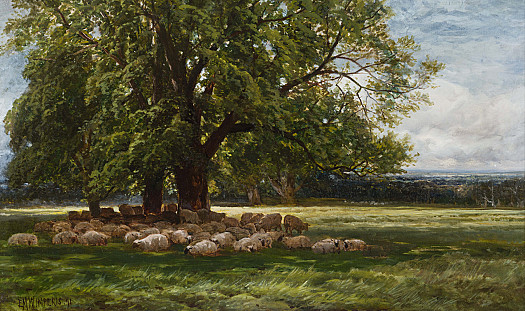 In the Shade, Danbury Park, Essex