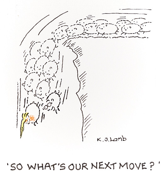 So what's our next move?