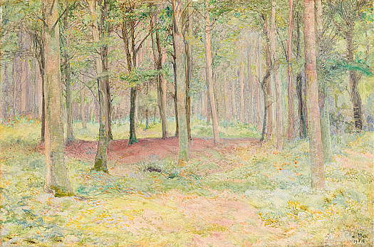 Bodvaen Woods