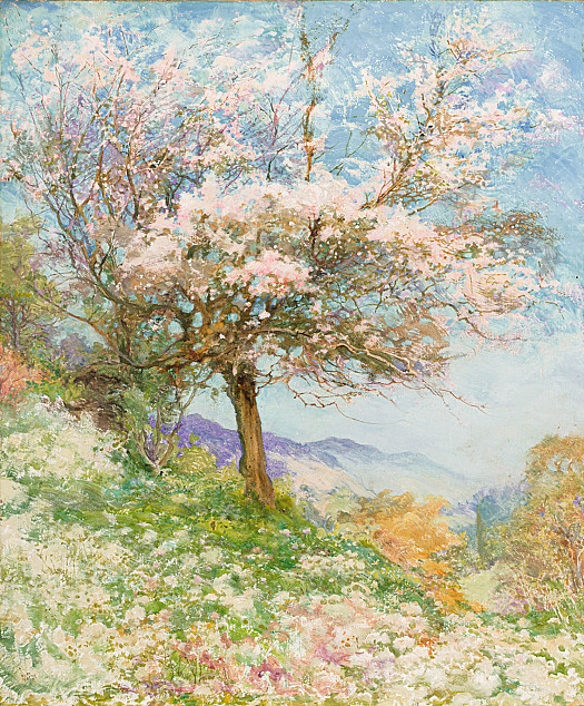 Blossom Tree