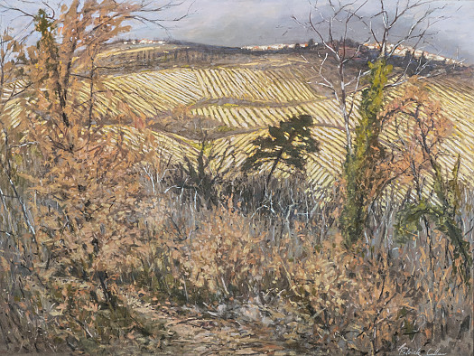 Vineyards through a Wood, Tuscany