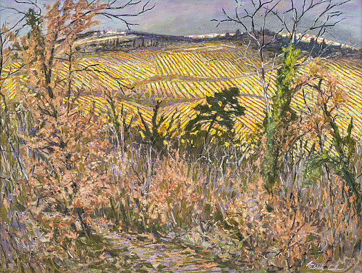 Vineyards through a Wood, Tuscany