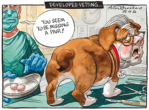 Developed Vetting ...