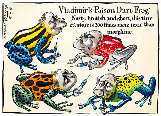 Vladimir's Poison Dart FrogNasty, brutish and short, this tiny creature is 200 times more toxic than morphine.