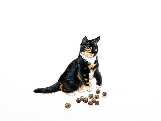 Motley with Black Peppercorns