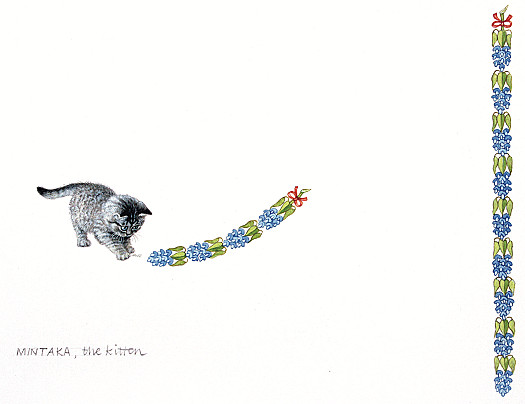 Mintaka the Kitten