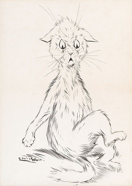 Study of a Cat
