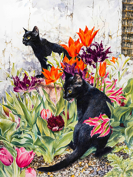 Black Cats and Tulips