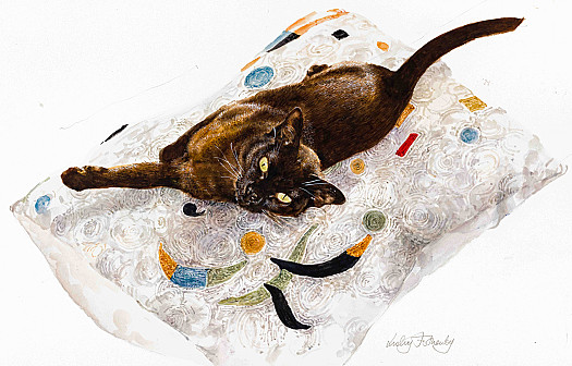 Diagonal Cat
