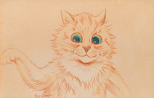 Blue Eyed Cat