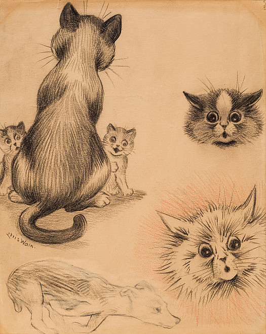 Cats, Kittens and a Running DogStudies from a Sketchbook