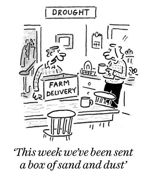 This week we've been sent a box of sand and dust
