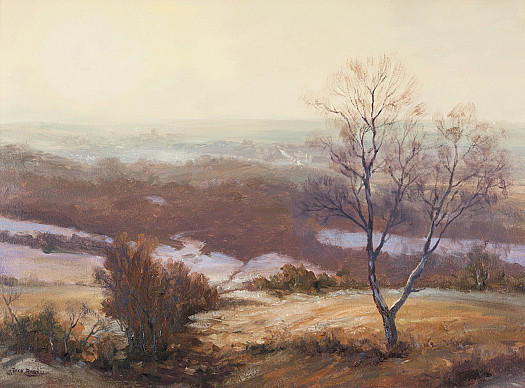 Winter Afternoon