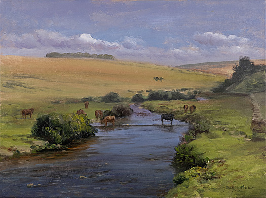 Cherry Brook, Dartmoor
