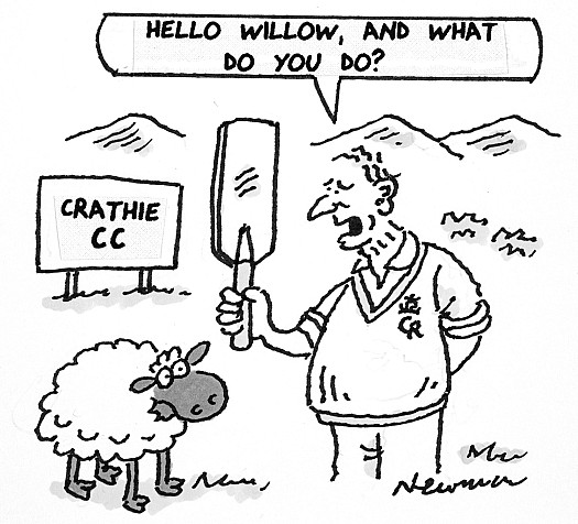 Hello Willow, and what do you do?