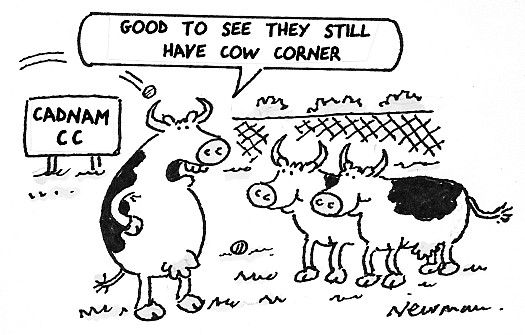 Good to see they still have cow corner