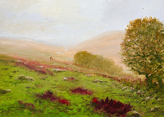 Walking up to Wistman's Wood, Dartmoor