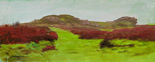 The Path to Saddle Tor, Dartmoor