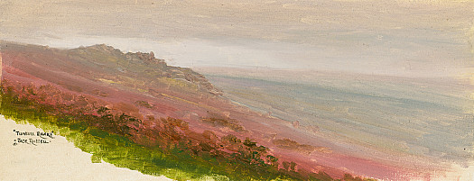 Tunhill Rocks near Widecombe in the Moor, Dartmoor