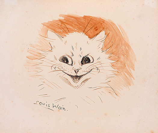 Mischievous Cat