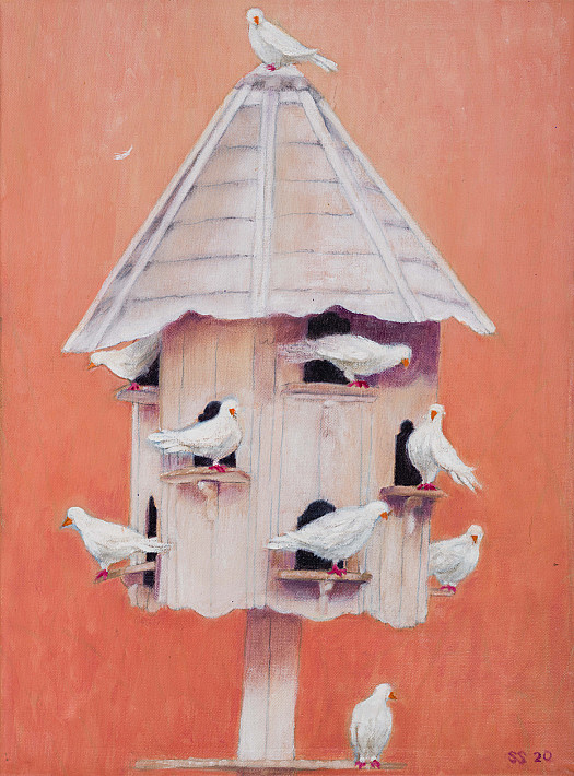 Doves at Home
