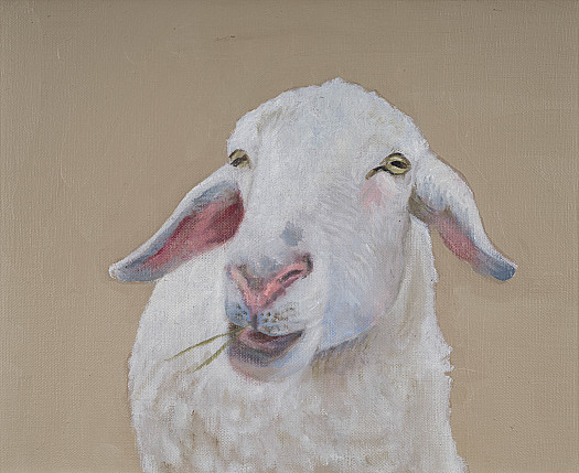 Sheep II