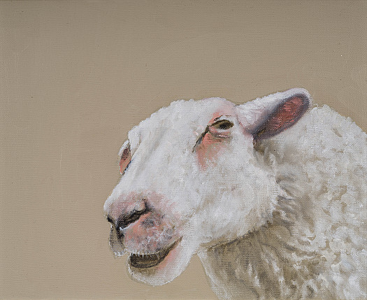 Sheep IV