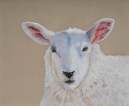 Sheep V