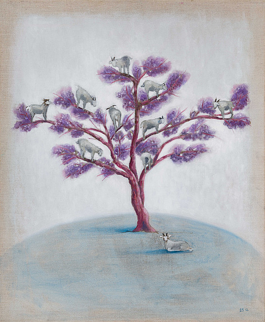 Goats in a Tree