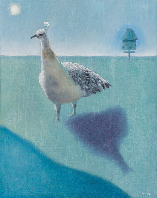 Lone White Peacock