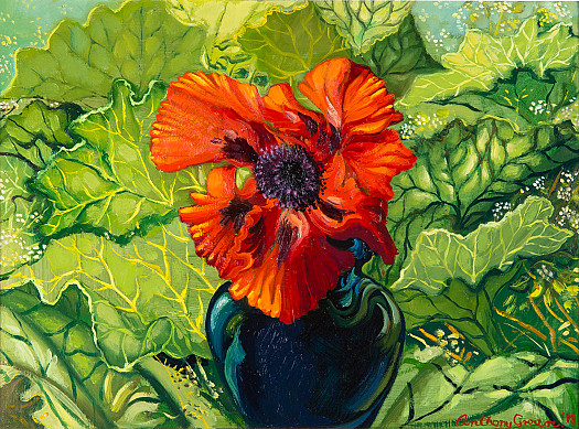 Large Red Poppy in a Dark Blue Vase