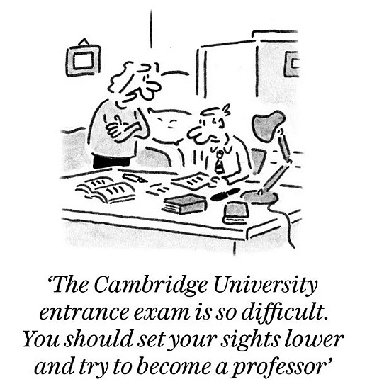 The Cambridge University entrance exam is so difficult. You should set your sights lower and try to become a professor