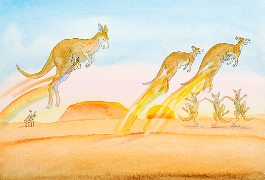Kangaroos