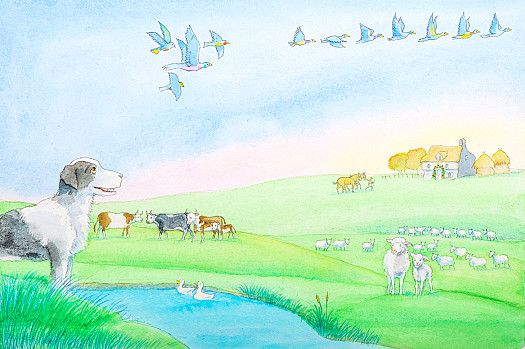 Animal Farm [I]