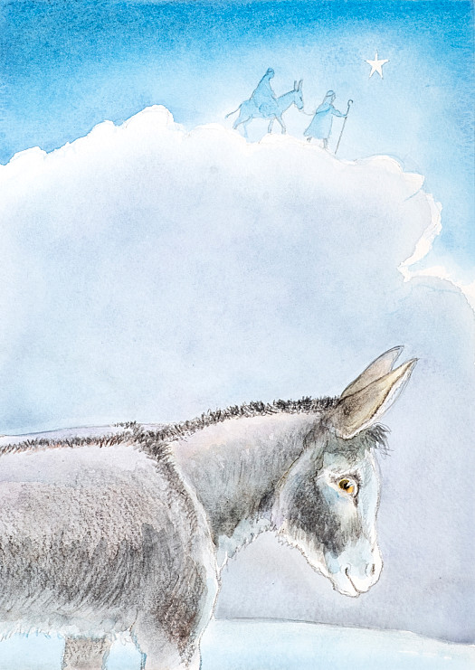 Wild Donkeys