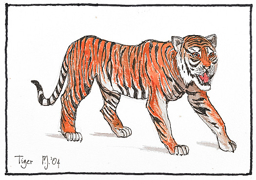 Tiger