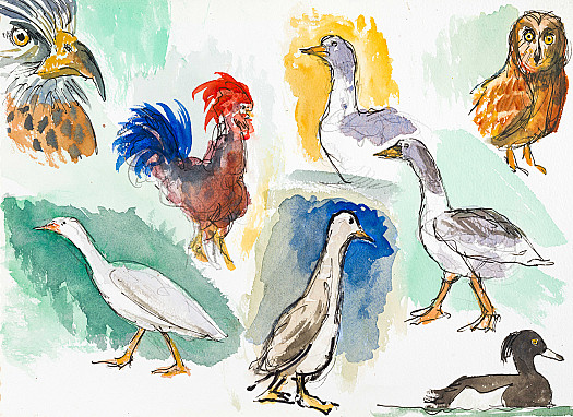 A Flock of Birds