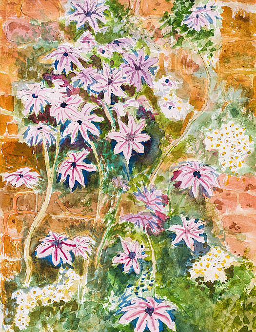 Climbing Flowers