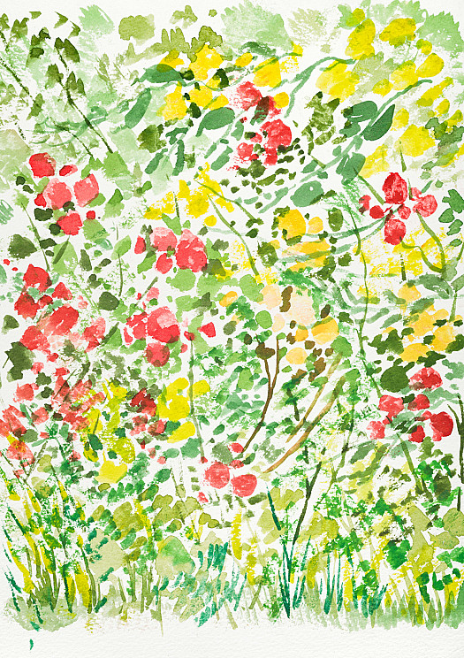 Busy Meadow