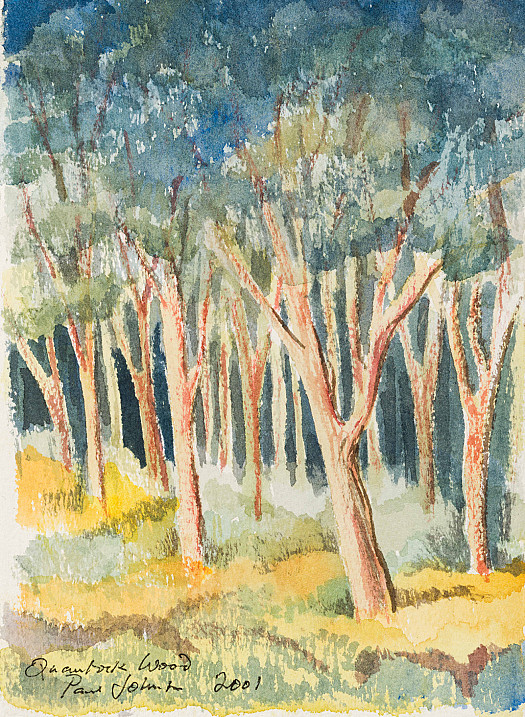 Quantock Wood