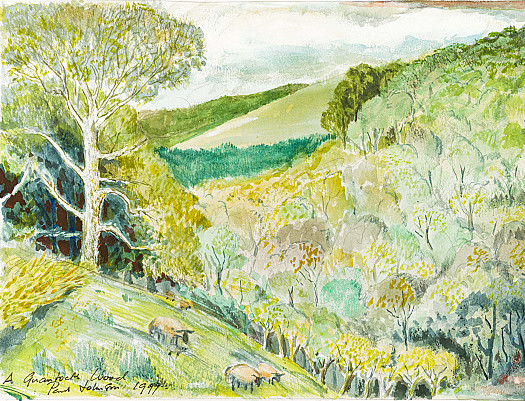 A Quantock Wood