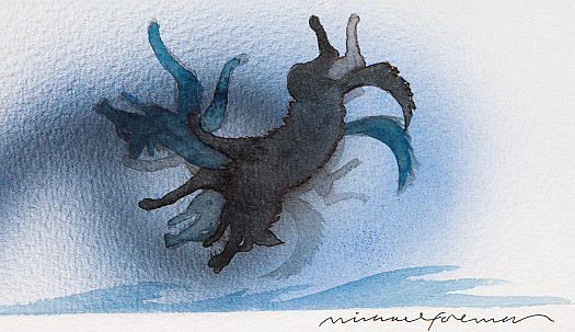 Soon the Spell-Hound Was Spinning Like a Catherine Wheel