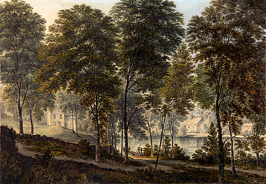 Woodland Ferry Crossing