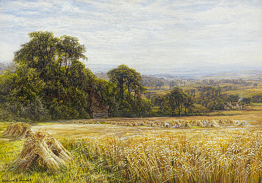 Harvest Time