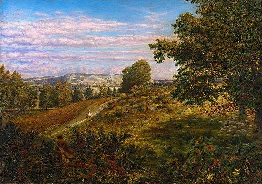 View of Box Hill Near Dorking, Surrey
