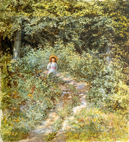 The Path through the Wood