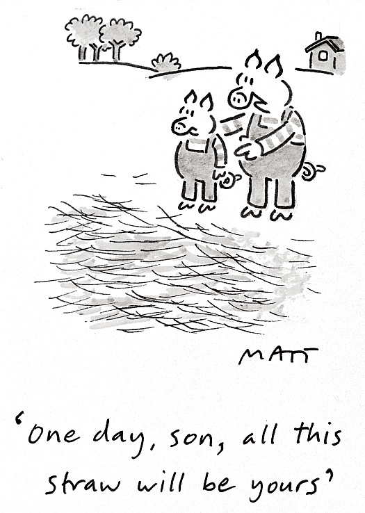 One day, son, all this straw will be yours