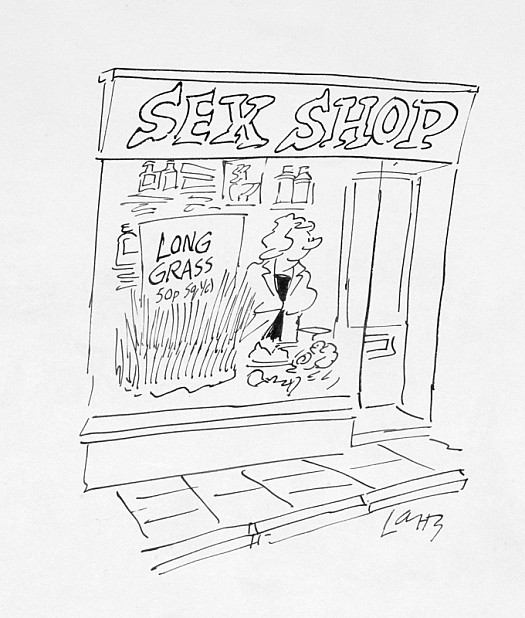 Sex Shop &ndash; Long Grass