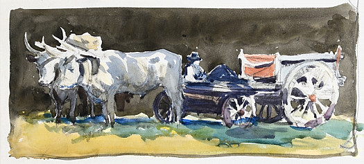 Oxen and Wagon