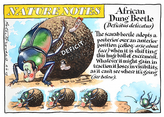 African Dung Beetle (Deficitus Defecatus)